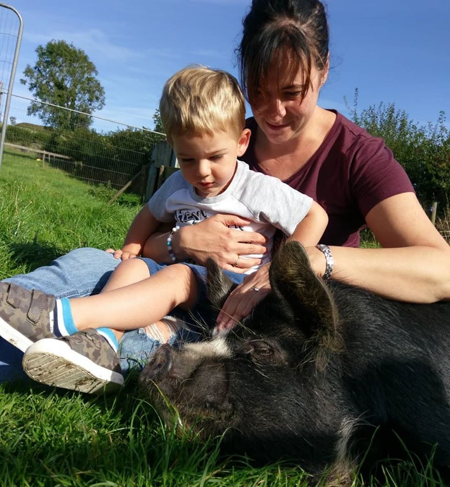 pig at chark farm holiday cottage cornwall